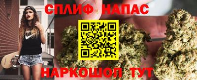 прущие грибы Тверь