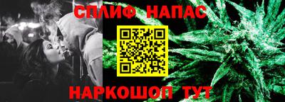 прущие грибы Тверь