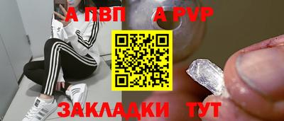 прущие грибы Тверь